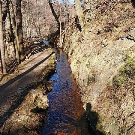 Apartment Ruhezeit Bad Harzburg