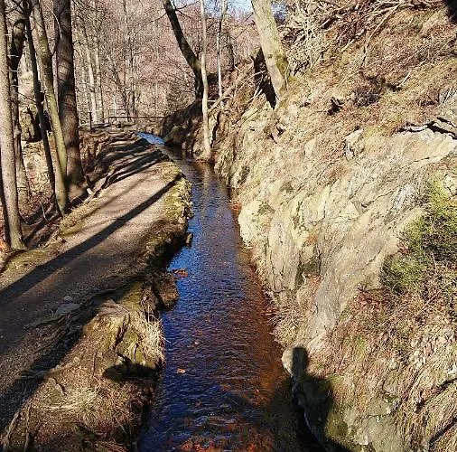 Apartamento Ruhezeit Bad Harzburg